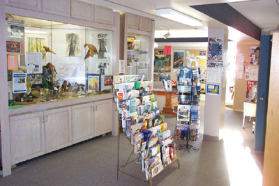 Displays of Area Wildlife and Information