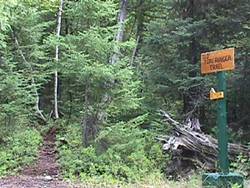 Old Fire Ranger Trail