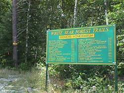 White Bear Forest Trails